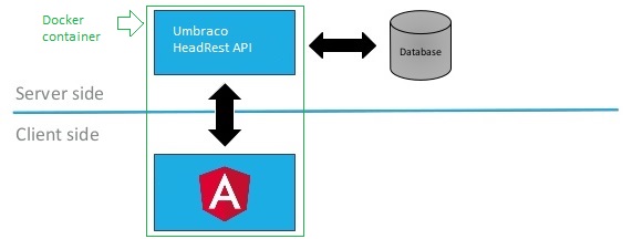 Run Umbraco Rest With Docker And Angular